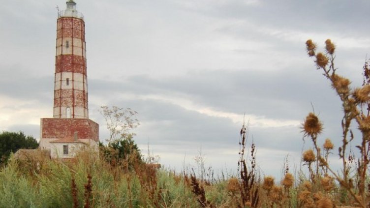 Снимка: архив Булфото