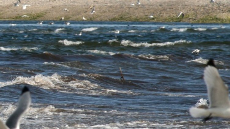 Снимка: архив, Ройтерс