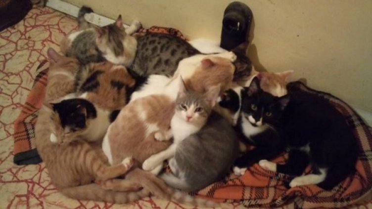 Снимка: Dnes.bg