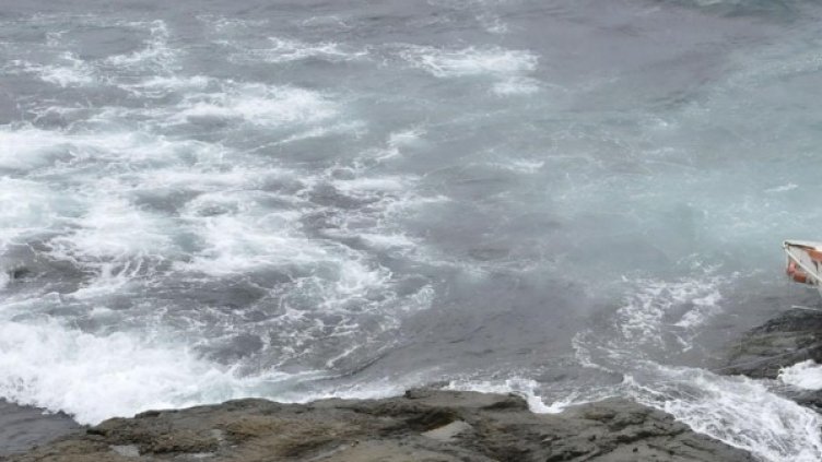 Снимка: Булфото, ахрив