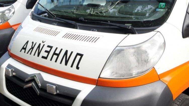 Снимка: Булфото, архив