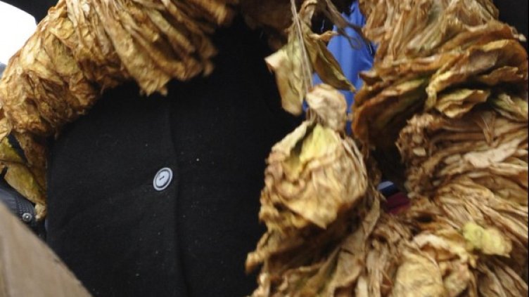 Снимка: архив, БулФото