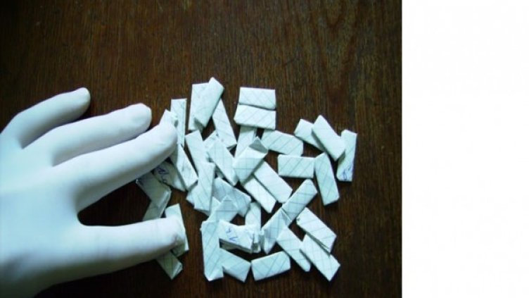 снимка: Фокус