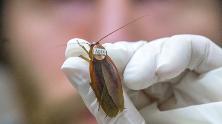 Снимка: Reuters