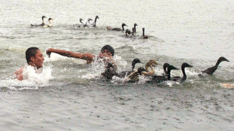 Снимка:  Reuters, архив