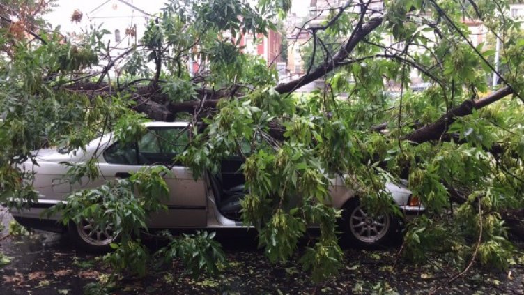 Снимка: DNES.bg