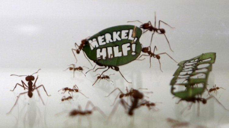 Снимка: Reuters, архив