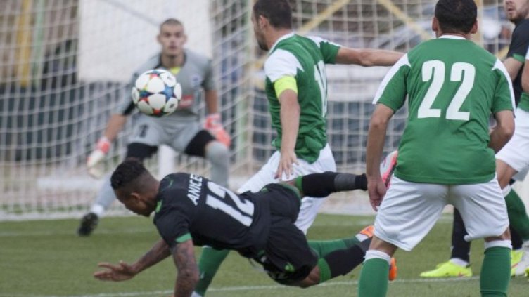 Снимка: Булфото