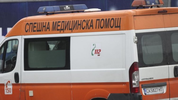 Снимка: Архив Булфото