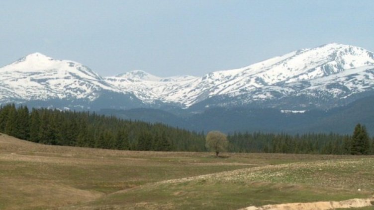 Снимка: архив, Булфото