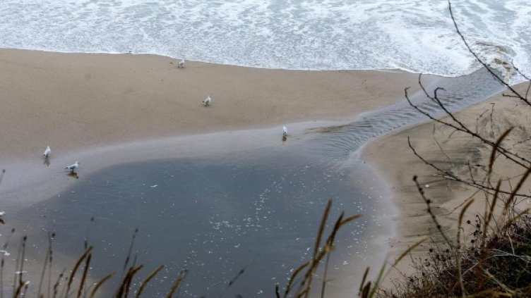 Снимка: архив Булфото