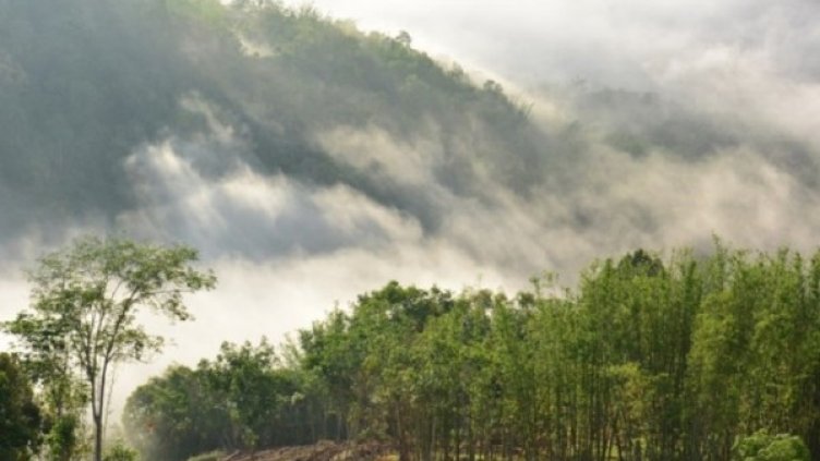 Снимка: архив, Булфото