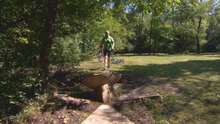 Счурената чешма в "Западен парк". Снимка: bTV