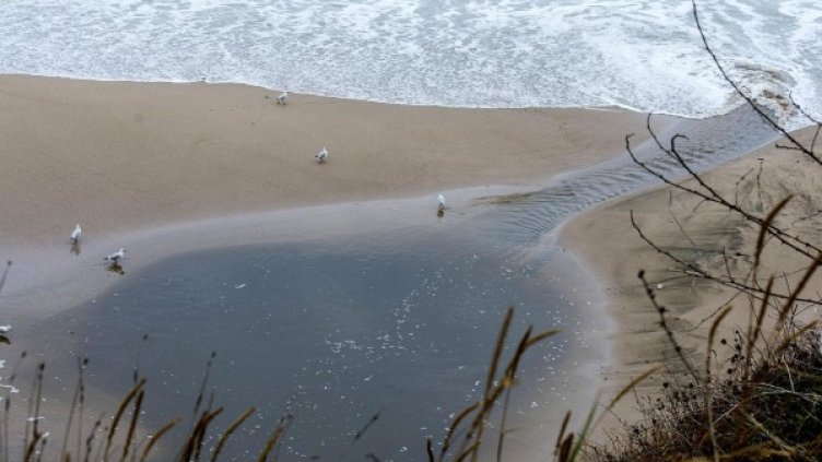 Снимка: Булфото, архив