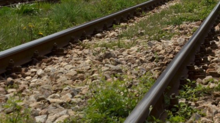 Снимка, архив Булфото