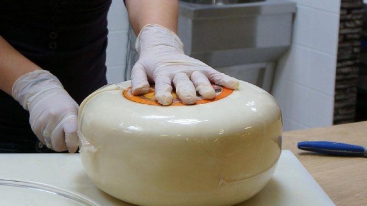 Снимка: Булфото, архив