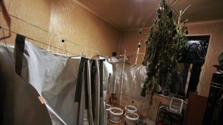 Снимка: архив Impact Press Group