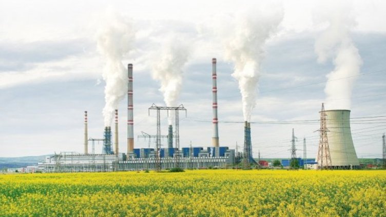 снимка: tpp2.com