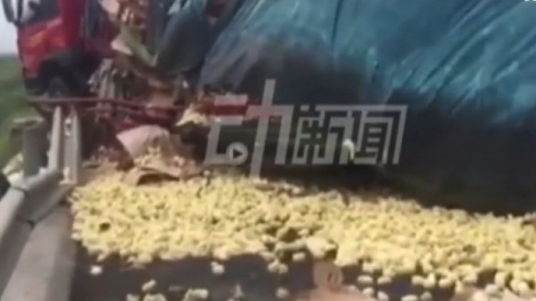 Снимка: bgonair.bg