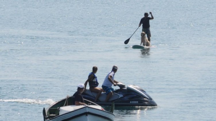 Снимка: архив Булфото