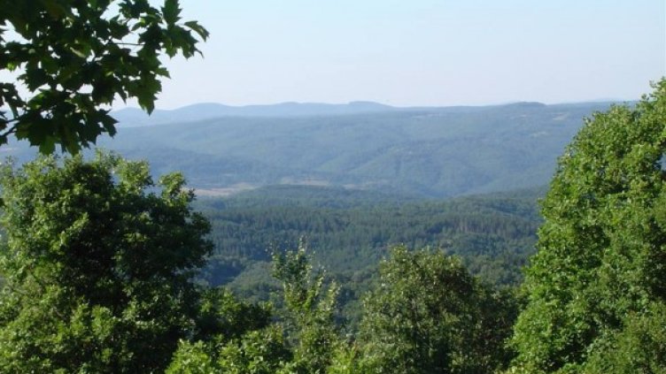 Снимка: Facebook "Странджа"