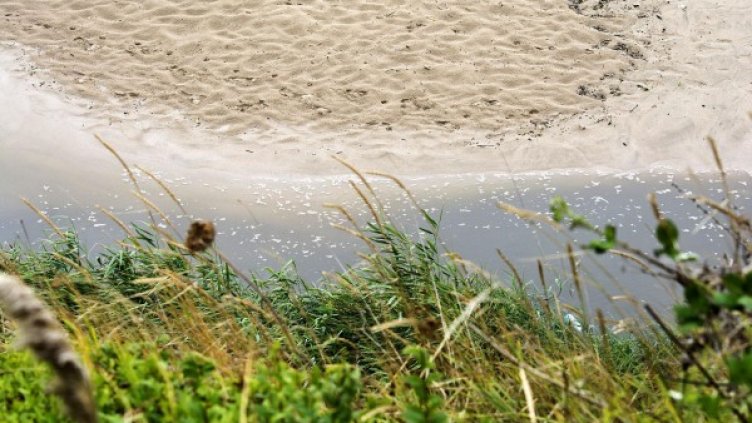 Реката на плажа, в която изтича водата от пречиствателната станция в Лозенец. Снимка: Булфото