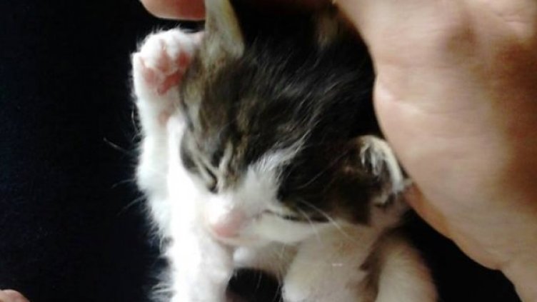 Снимка: Dnes.bg