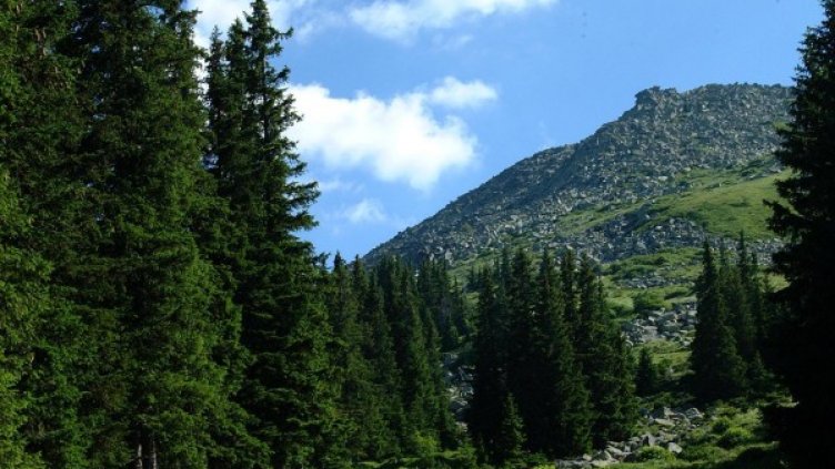Снимка: Булфото, архив
