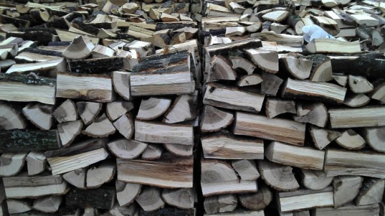 Снимка: Булфото, ахрив