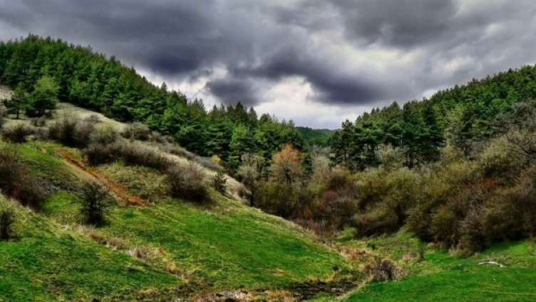 Снимка: архив, Булфото