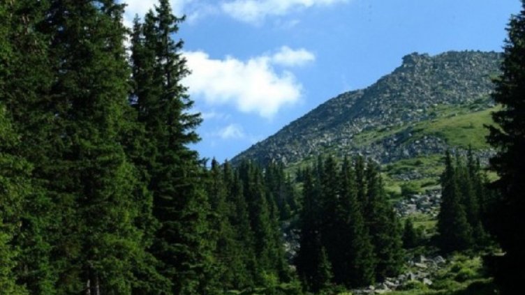 Снимка: Булфото