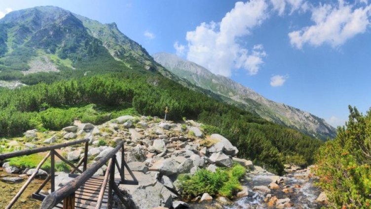 Архив: Булфото