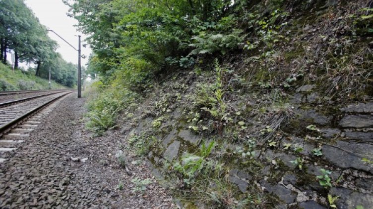 Мястото, където се смята, че е скрит нацисткият влак. Снимка: БТА