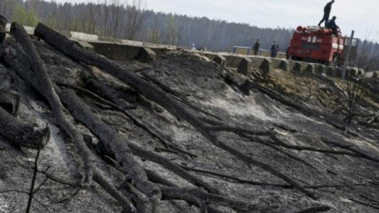 Снимка: архив, Reuters