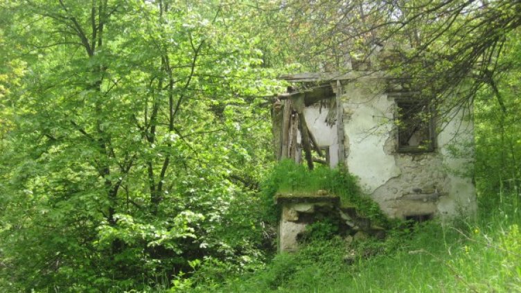 Снимка: Facebook