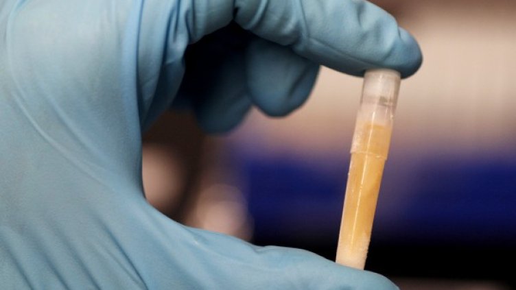 Снимка: Reuters, архив