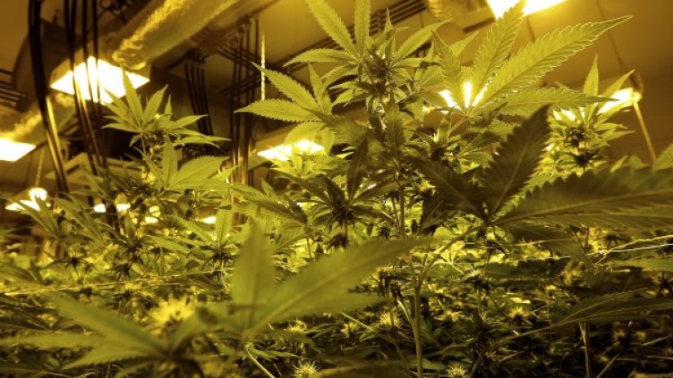 Снимка: Reuters, архив