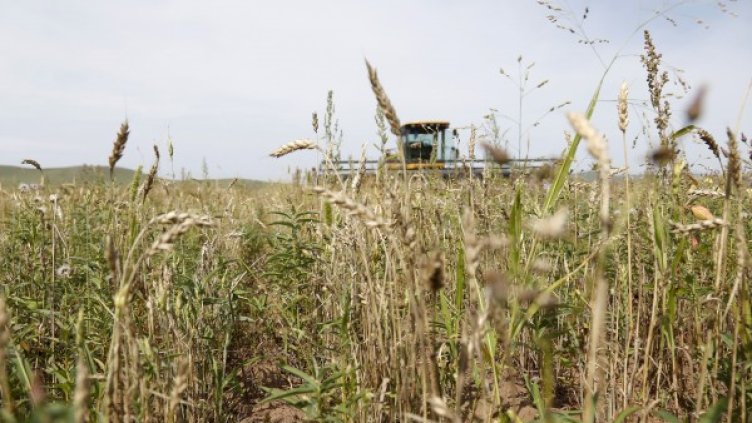 Снимка: Reuters, архив