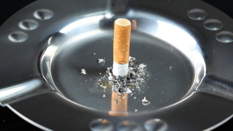 Снимка: photl.com