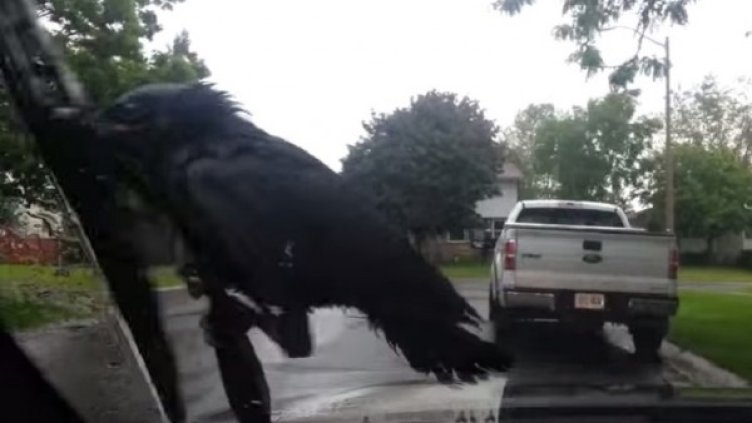 Снимка: Кадър Youtube