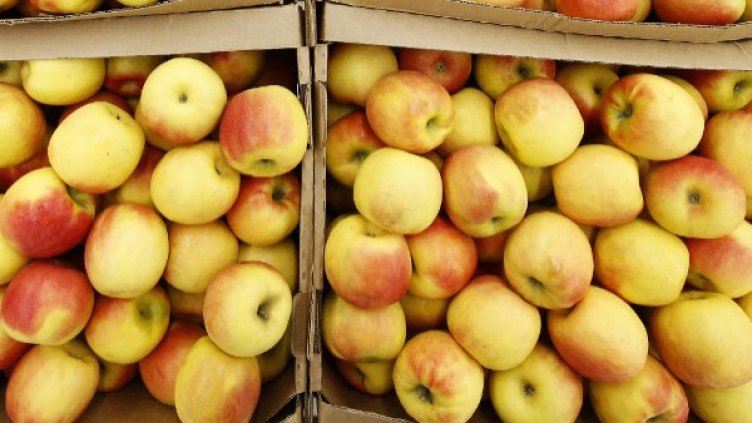 Снимка: архив, Reuters