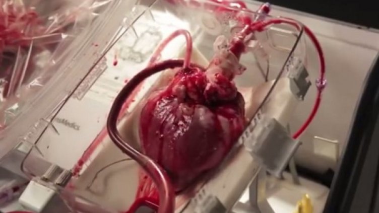 Снимка: YouTube