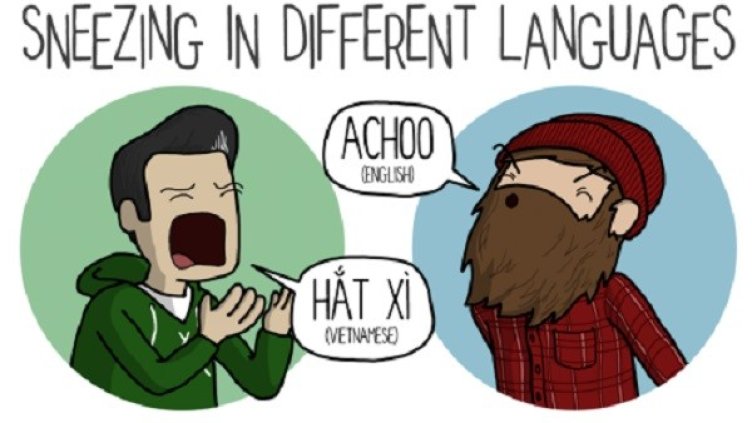 Снимка: James Chapman