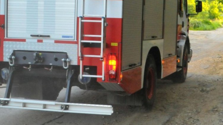 Снимка, архив Булфото