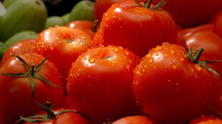 Снимка: архив, БулФото