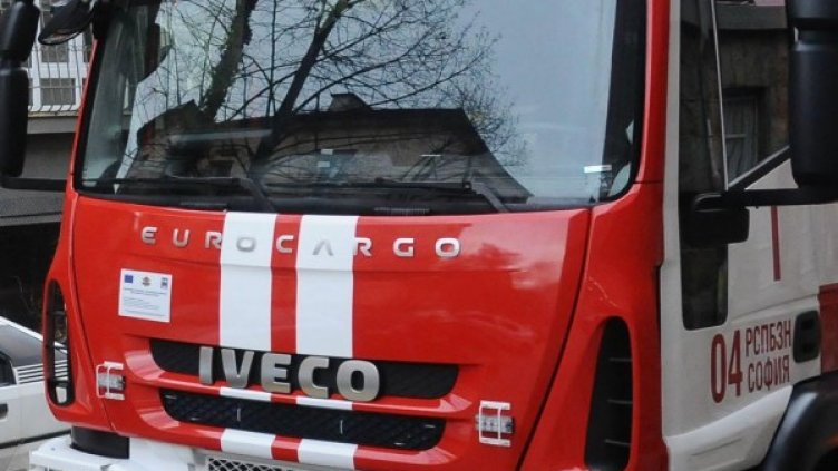 Снимка: архив, БулФото