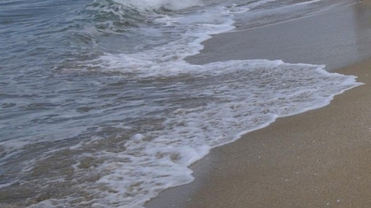 Снимка: архив, БулФото