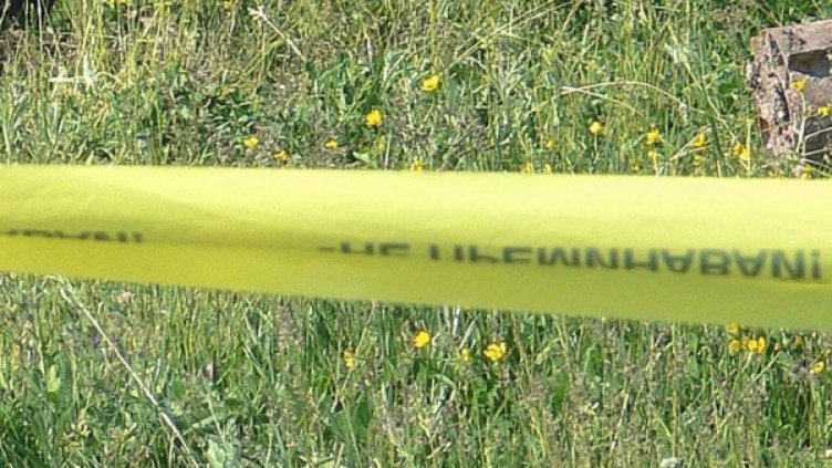 Снимка: архив Булфото