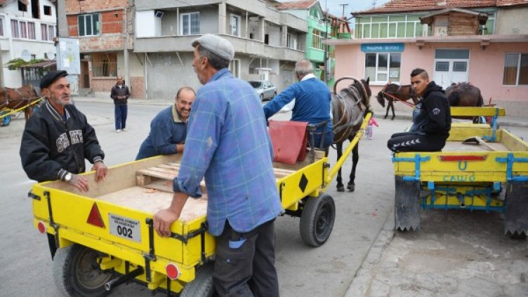 Снимка: Булфото
