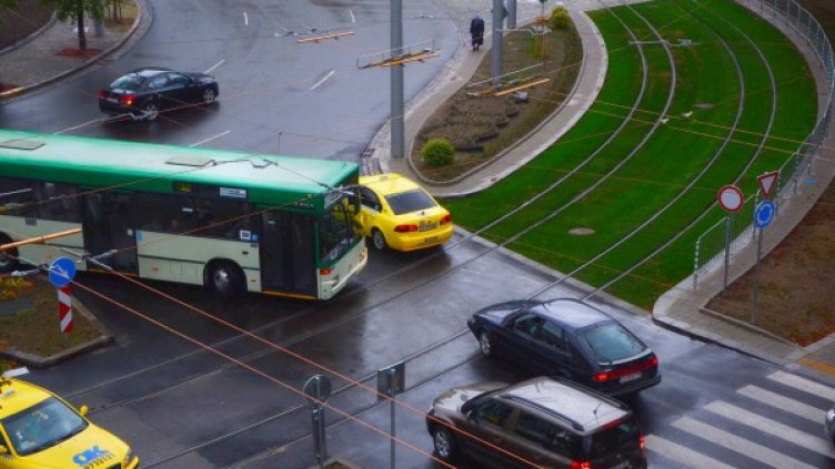 Снимка: Булфото/ Ани Сиракова